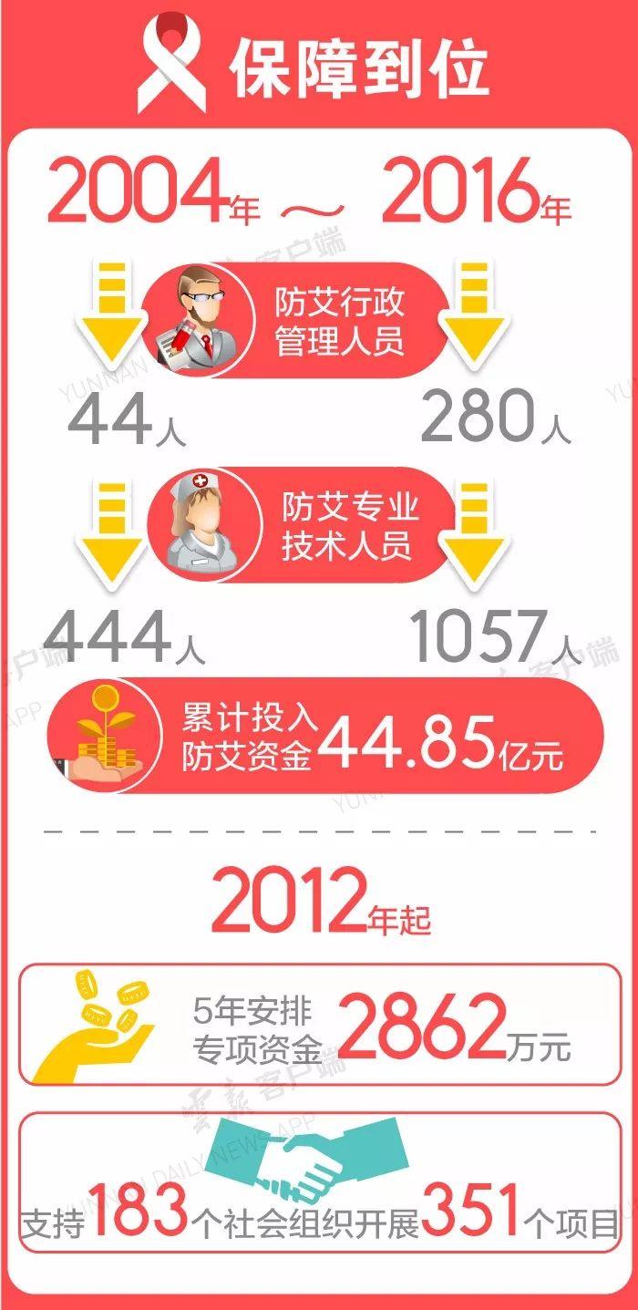 聂紫雪
