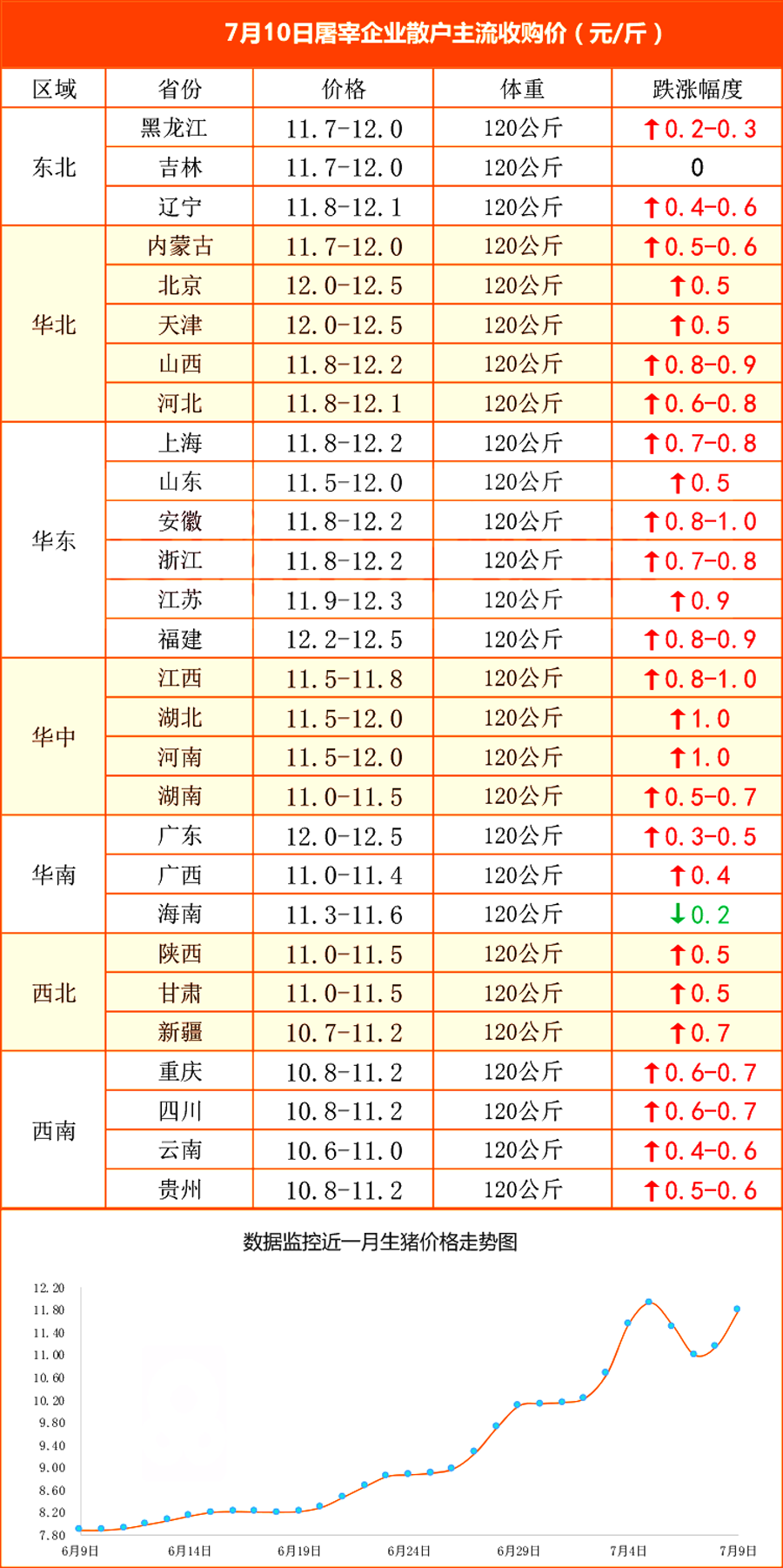 明日最新猪价预测及分析，早期预测与深度解读