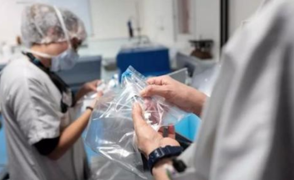 状病毒疫情早期情况深度探究