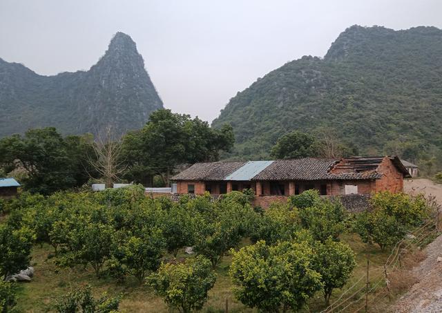 临桂最早版本的探寻之旅，历史印记与传承揭秘